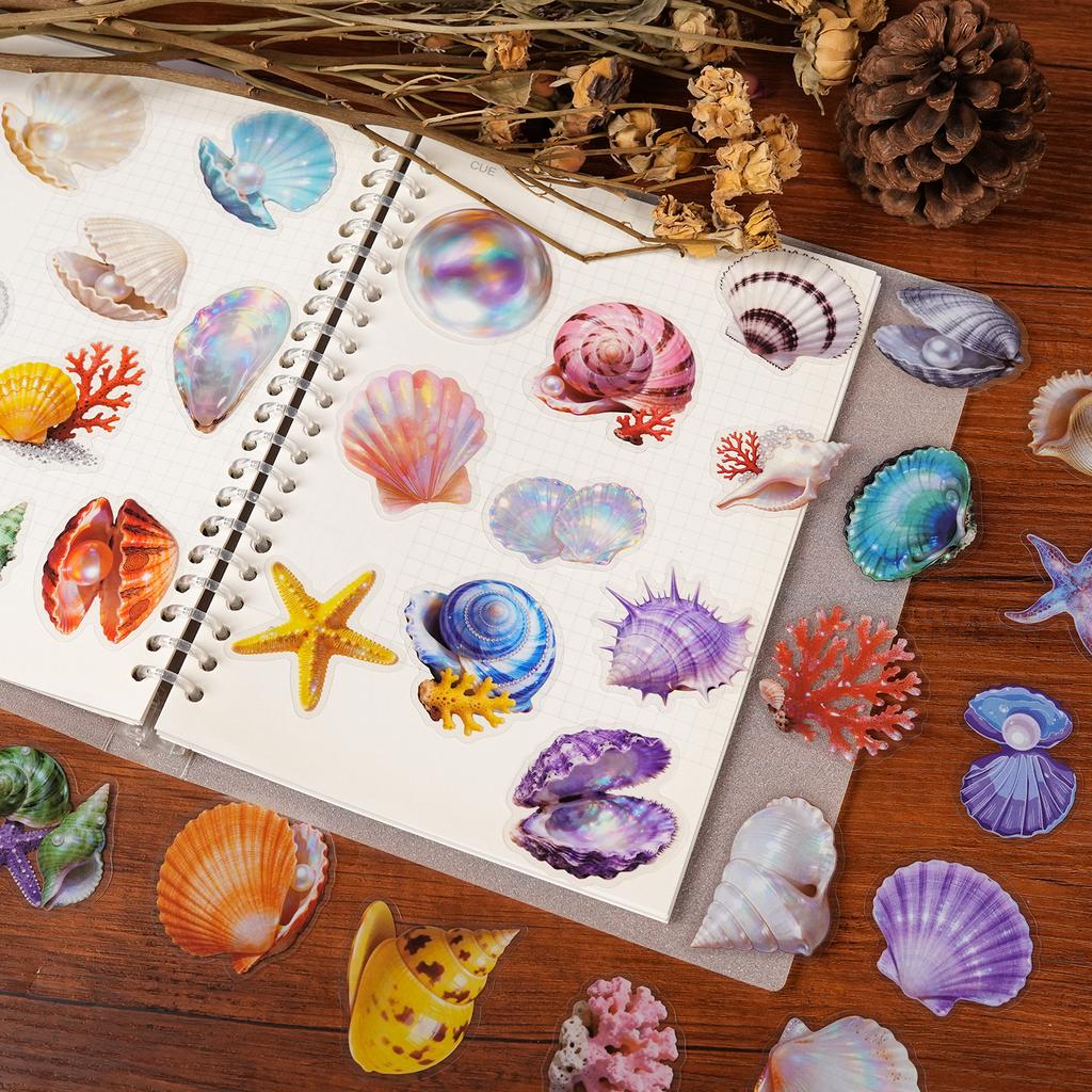 56 Exquisite Ocean Shell Transparent Stickers Pet Material Hand Account Water Cup Stickers