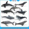 Solid Simulation Marine Animal Model: Megalodon, Whale, and Great White Shark Toy Ornament