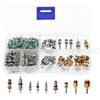 Kesoto 134pcs Assorted A/C Schrader Valves R134a Kit 11 Kinds of AC Valve Core