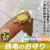 EdisonBrain Money Turtle Set Portable Golden Turtle Amulet for Good Feng and Business Prosperity Perfect for Wallets and (Large & Small) - (3cm &