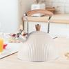 Whistle Water Kettle 2.5L Portable Stovetop for Home Dorm Apartment