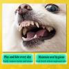 Bite-resistant Pet Dog Toys Interactive Teeth Grinding Dog Toys Teeth Cleaning Toy Funny Puppy Training Toy Dog Accessories