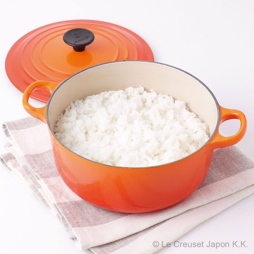 Le Creuset Round Dutch Oven 20 cm orange gas IH oven dishwasher safe