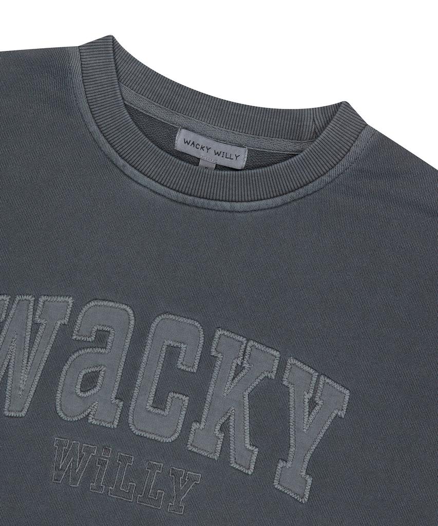 WACKY WILLY Women'S Semi-Overfit Pigment Sweatshirt Gray