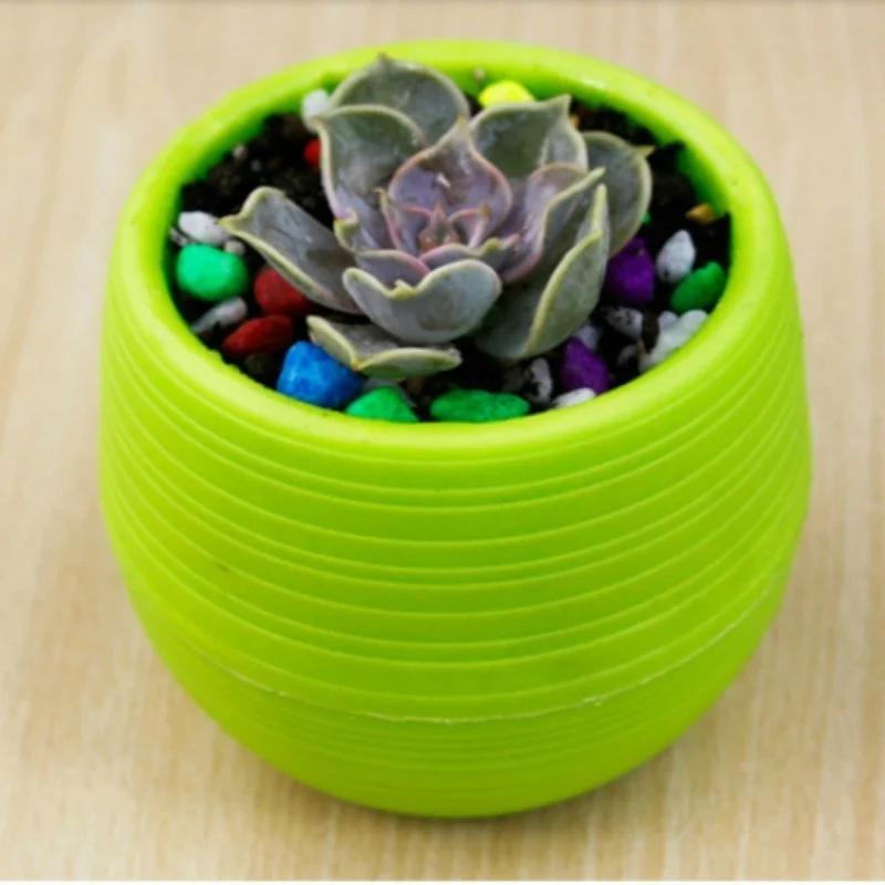 2Pcs Stone Pill Pot Reticulate Grass Pots Fleshy Plant Desktop Flower Pot Mini Flower Pot Plant Pots Random Color