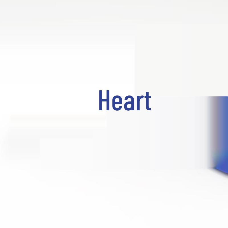Xinzhan Polyurethane Hydraulic Y-Seal Ring