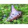 TNG Ocarina, Brown, 12-Hole, AC Single, with Case, Premium Quality, for Wind Instruments, Purple Sand