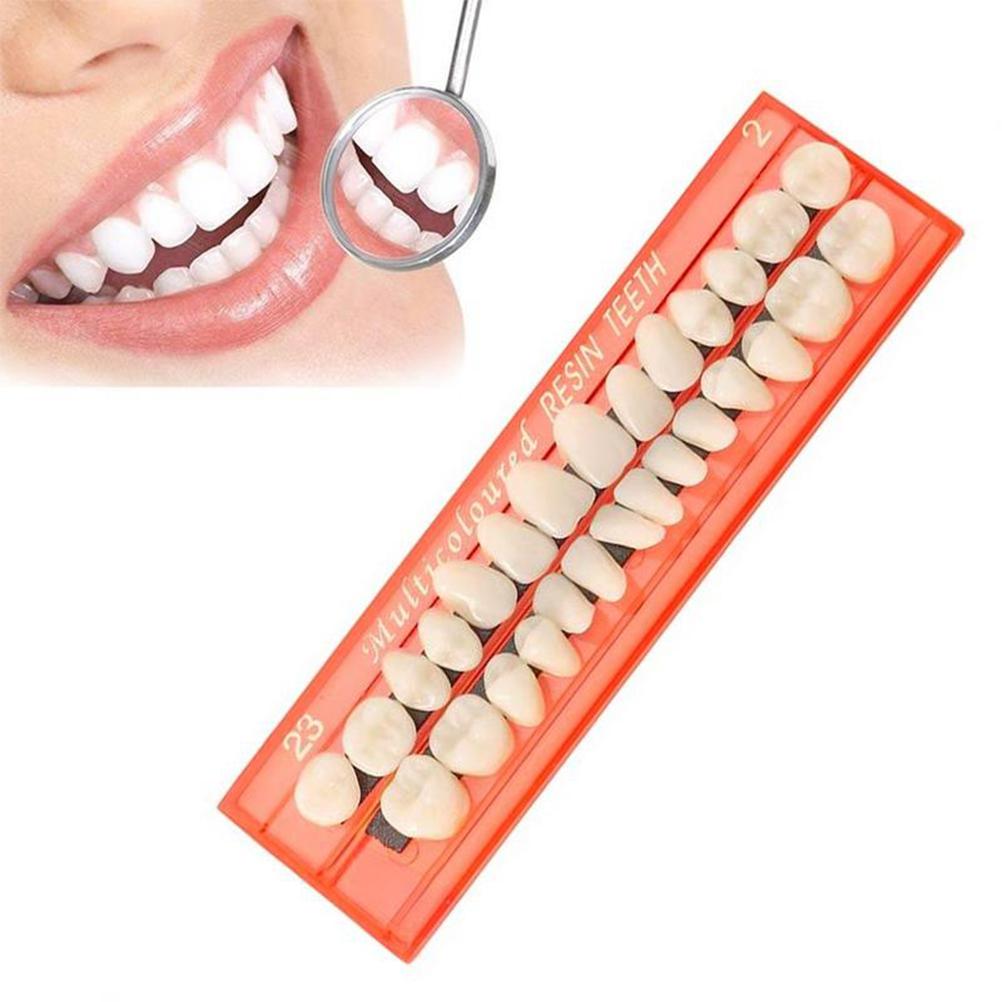 28PcsSet Resin Teeth Model Durable Dentures Universal Resi False Teeth