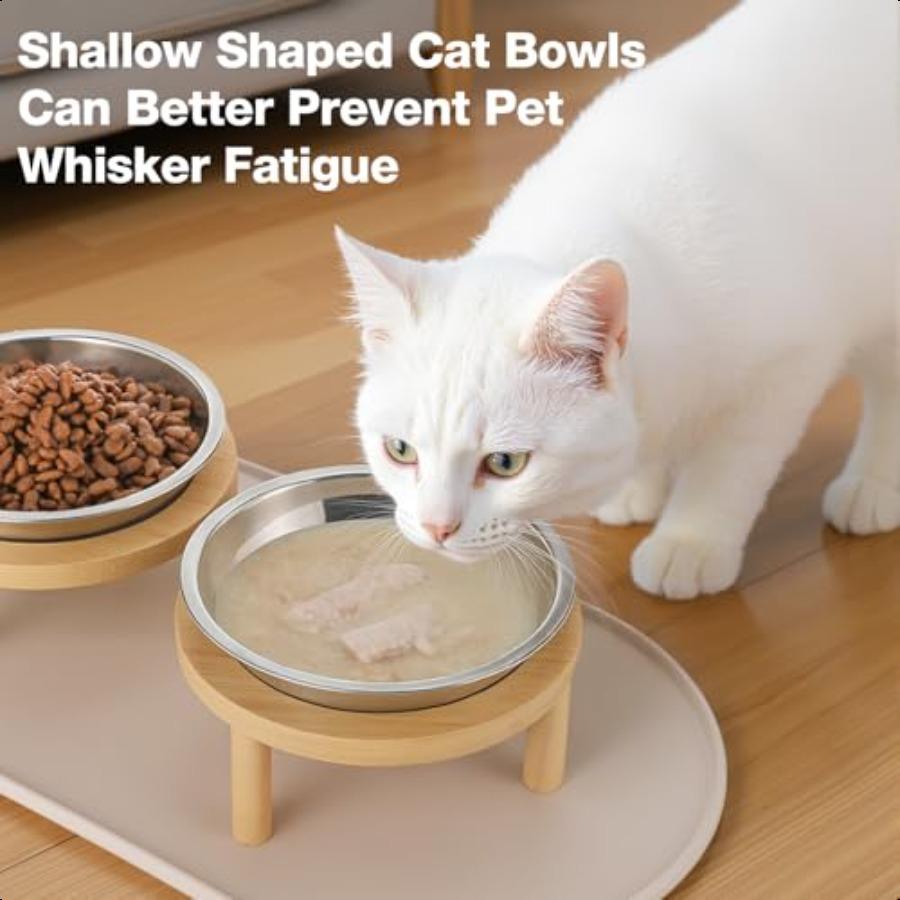 Elevated Cat Bowls with Food Mat6.3 Inches Shallow Raised Bowls Whisker Friendly 2 Stainl Steel Cat Food and Water Dishes for C