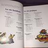 [USED] Larousse Dictionary: Everyday Life In France, French, Large Book, Hardcover