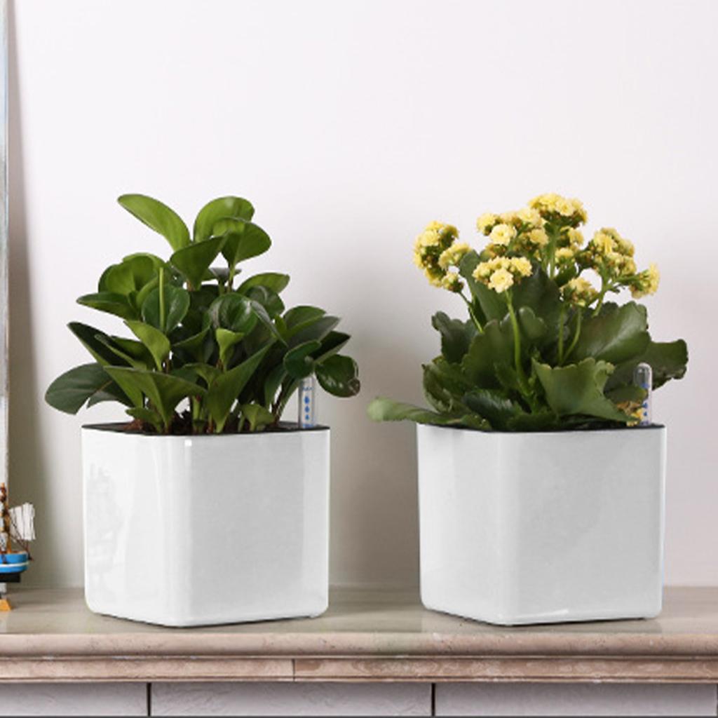 3 size Lazy flowerpot Green Plant Self Watering Flower Pot automatic water absorption green ivy pot Planters For Home