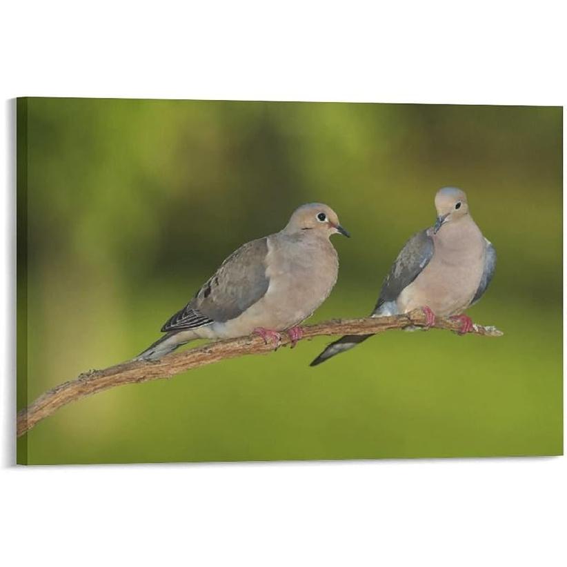 

Две красивые птицы горлицы стоят на ветках Весна Животные Эстетика комнаты Постеры Холст Постеры Украшение спальни Спорт Офисное украшение 08x12inch(20x30cm)