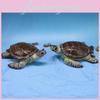 Marine Collection Turtle Figurine Resin Aquarium Mini Garden Decor For Gift Giving