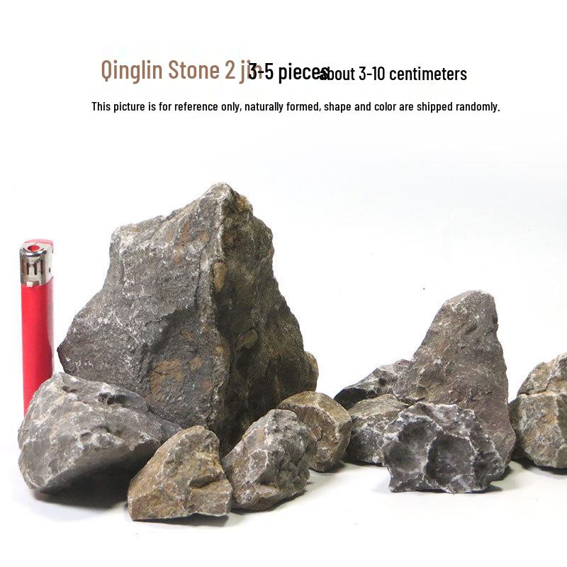 Azure Dragon Aquarium and Bonsai Landscaping Stone Set