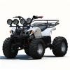 48V 750W Shaft Drive Children's Electric Off-road ATV Buggy with CVT & Three-speed Transmission