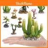 Coleção de Modelos de Plantas Realistas Com Material de PVC Para Decoração de Casa e Design de Terrário