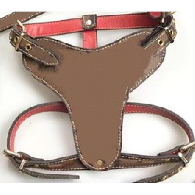 

Роскошный регулируемый поводок для собак из искусственной кожи для щенков, дизайнерский поводок для собак, ошейник