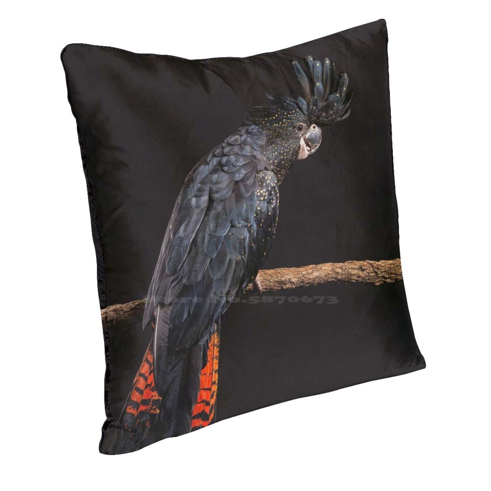 Red - Tailed Black Cockatoo Studio Portrait #5 Throw Cushion Pillow Cover Pillowcase Studio Lit Forest Red Tail Cockatoo Red Peach skin 18*18(CM)-1Pcs