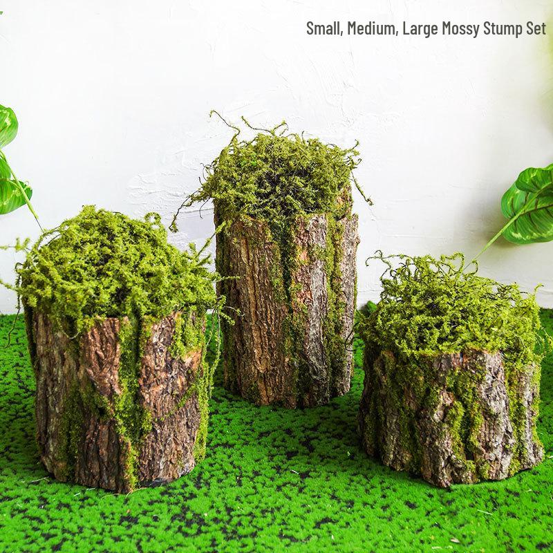 Artificial Moss Turf Carpet for Indoor & Outdoor Decoration