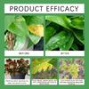 Comprehensive Plant Care Nutrients Practical Organic Fertilizers Tablets Slow Release Agent for Garden Enthusiasts