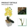 Luxurious Simulated Phalaenopsis Artificial Plant for Exclusive Boutiques
