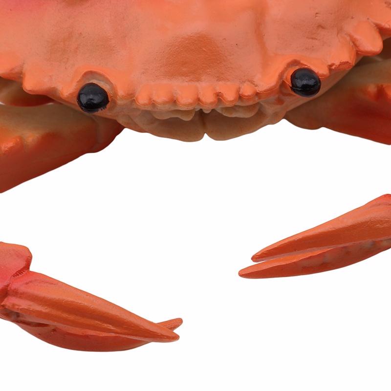 Simulation Écrevisse Crabe Jouet Enfant