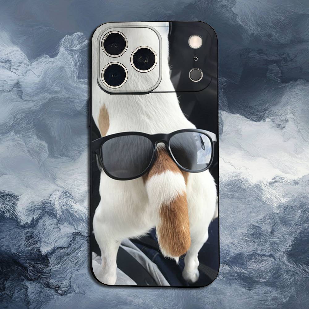 

Jack Russell Terrier Dog Case For iPhone 15,17,16,12,14,13,11,Plus,Pro Max,XS,X,Mini,8,7,XR,SE,Soft Silicone Black iPhone12PRO
