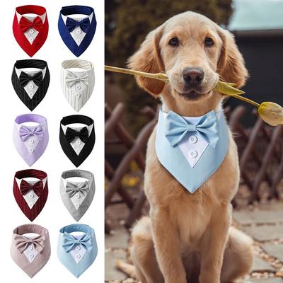 Îmbrăcăminte și încălțăminte – Accesorii pentru câini