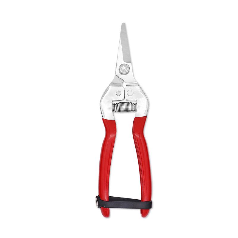 Stainless Steel Garden Pruning Shears with Dipped Handle