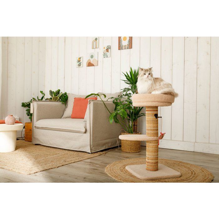 Albero per gatti tiragraffi - ZOLUX - Stabile - Spazio per riposare - Gioco topo - Sisal - 70 cm - Boreale - Beige