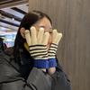 Winter Fleece and Thickened Touch Screen Color Blocking Striped Gloves for Girls Korean Version Instagram Cute Student Cycling Warm Gloves