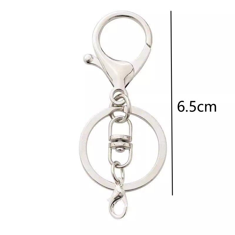 10Pcs Heavy Duty Metal Keychain Lobster Claw Swivel Clips with Key Ring for Purse Strap Attachment