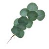 Artificial  Fake  Leaves Eucalyptus Green Plant Leaves Flowers Home Decor