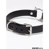 Classic Black Leather Choker with Bell and Leash for Men Punk Necklace Cosplay
