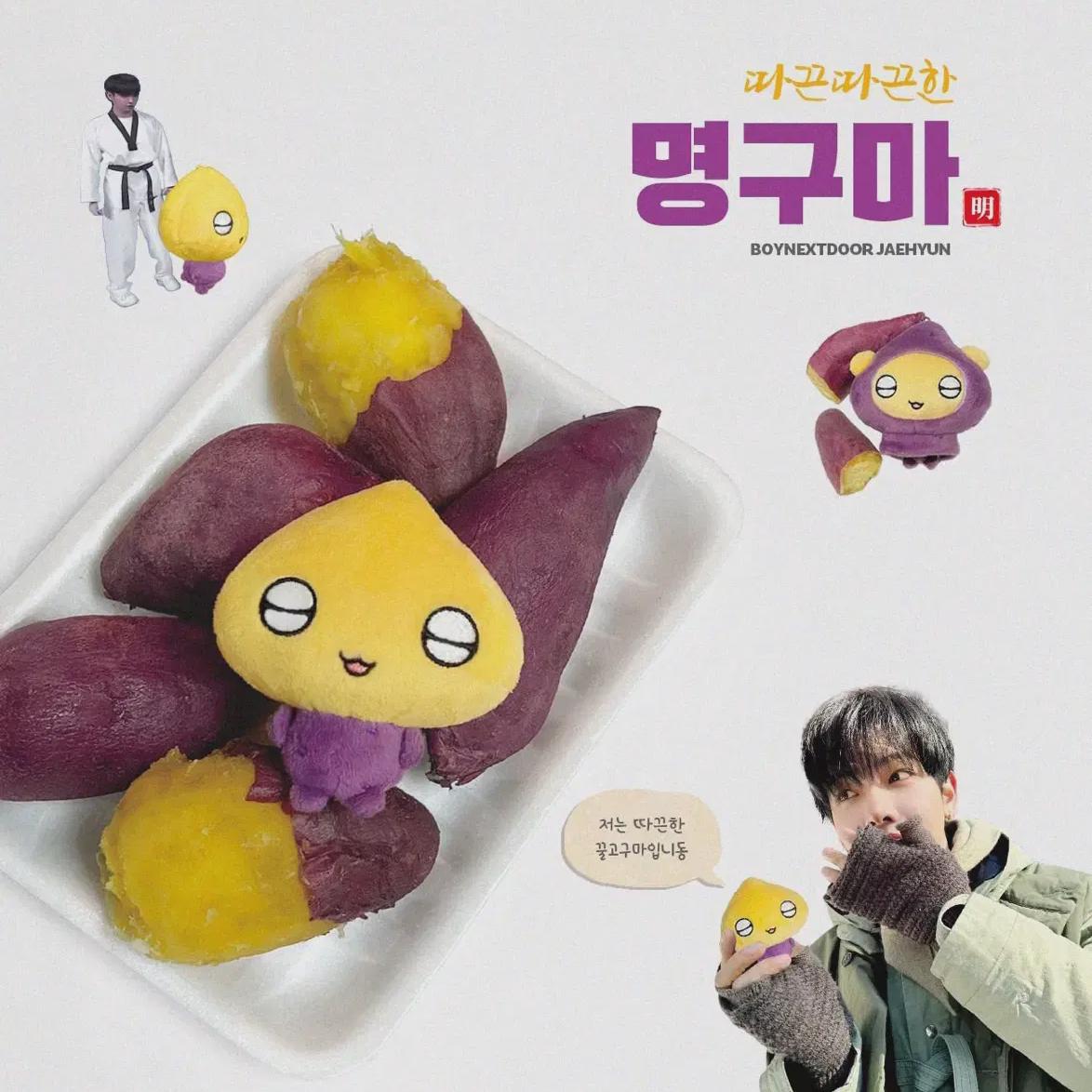 

Boynextdoor Myung Jae-hyeon Doll, Famous Potato