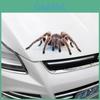 Pegatinas 3D de Calidad Premium para Coche con Geniales Diseños de Araña para una Decoración Única