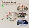 Cat Toys Chew Ropes Pet Toys Refillable Natural Catnip, Safe Teeth Cleaning Toy for Indoor Kittens, Interactive Cat Nip Kitty Toys