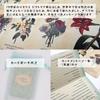[Includes Japanese Instruction Manual] Botanical Inspirations Deck Oracle Cards FLATLAND Authentic Product Flower Fortune Telling Flower Meanings