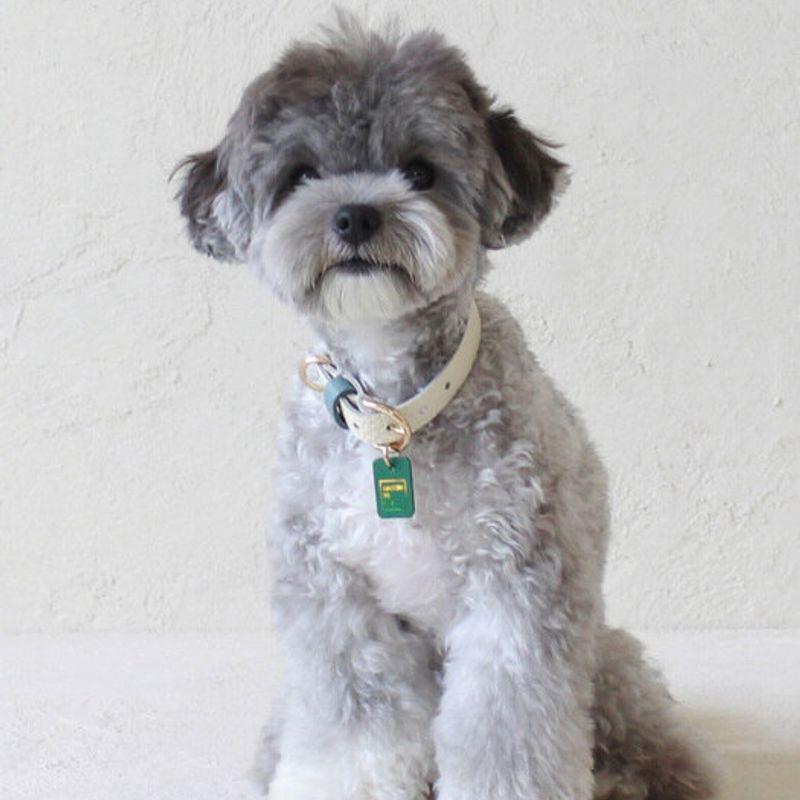 MAISON DE MIU Petsnal Color Leash White/Indian Blue