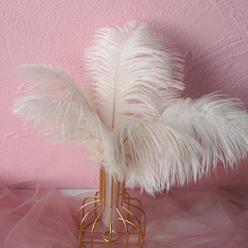 Color 20-25Cm Ostrich Hair Vase Ornament Wall Feather Decoration Hand Bouquet Flower Arrangement Diy Material