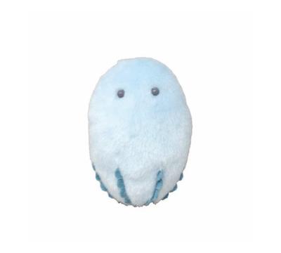 Naitou Design Peluche Walk Pochamaru Sous-marin, Petite, Série Méduse, Méduse Melon, 6 ans et plus, Hauteur Totale: Environ 10cm