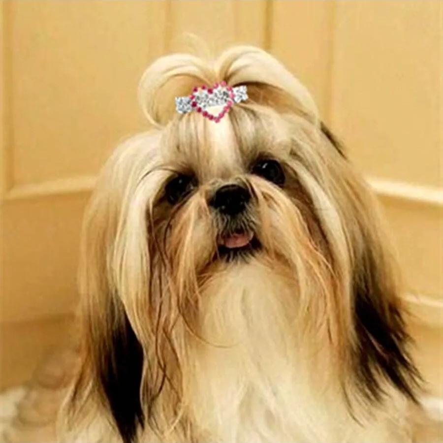 Pet Cat Dog Hair Clip Bone Mini Hair Barrettes Crown Heart Plum Blossom Party Holiday Decoration Pet Dog Cat Hair Clips Headwear