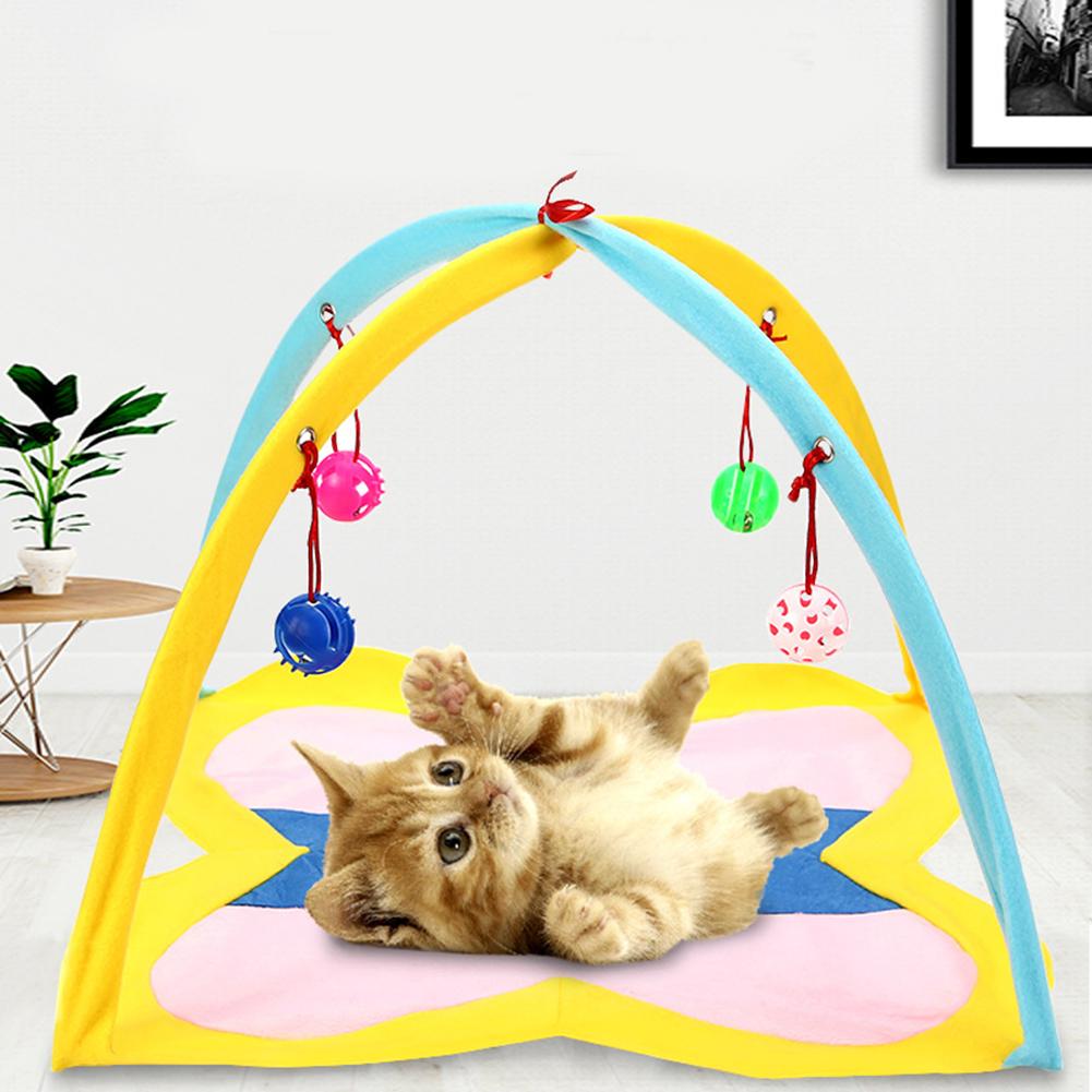 kitten play tent