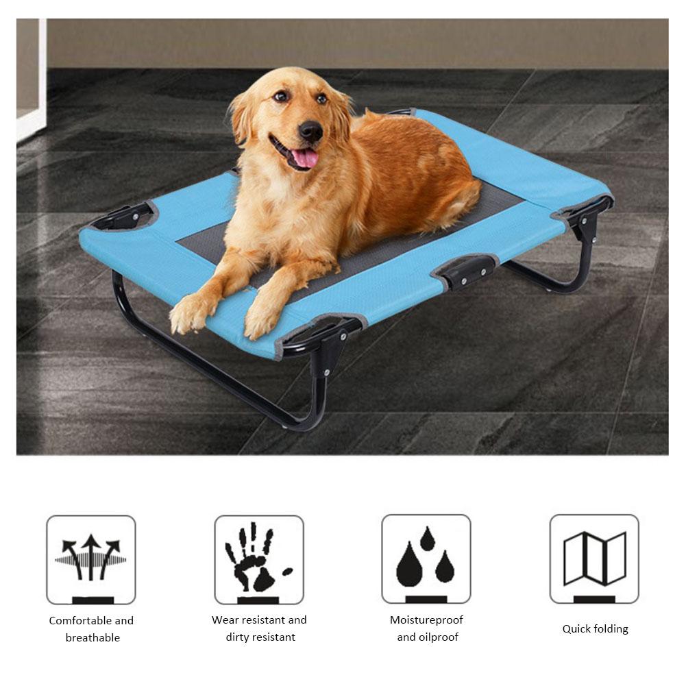 fold away dog bed