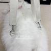 Musical Cat Plush Backpack Doll – Cute Gift for Girls and Kids