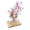 Unfinished Wooden Mini Pallet, Natural Wood Pallet Coaster for Hot and Cold Beverages Coffee, Tabletop Protection