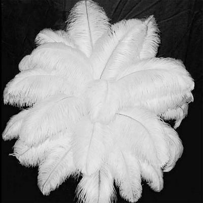10pcs Natural White Ostrich Feathers Wedding Party Decoration