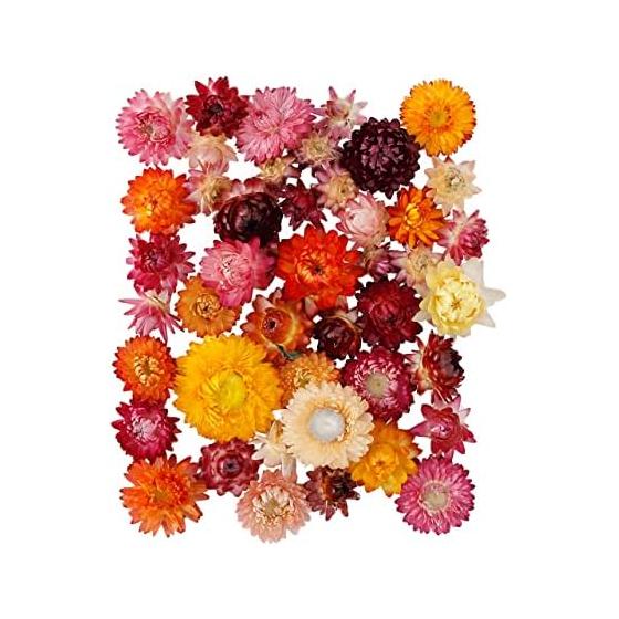Tokyodo Dried Flower Straw Chrysanthemum Head Mix Approximately 1.5~4cm 1 bag 30g FD001489-zzz