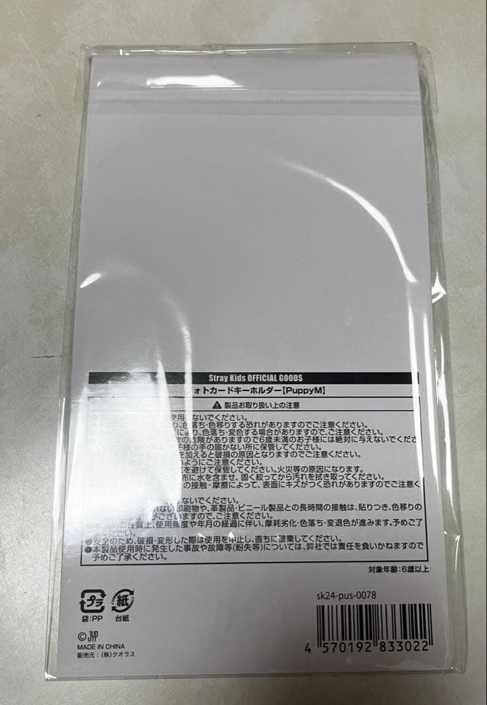 [USED] StrayKids Photo Card Keychain Papim