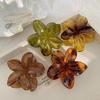 1/3PCS Women Laser Mermaid Princess Flower Shaped 8cm Large Brown Beige Lightweight Plastic Hair Clips Fashion Hair Accessories
